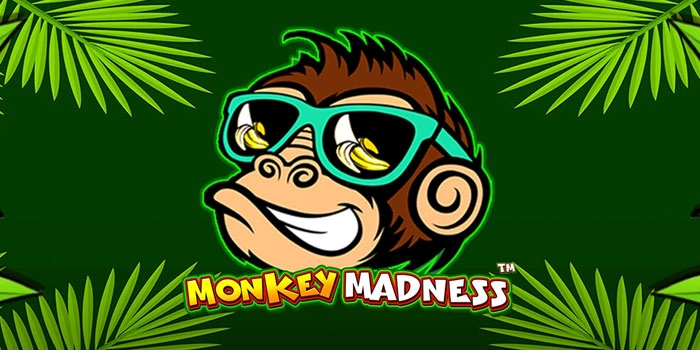 Cara Memilih Pola Slot Monkey Madness Agar Menang Terus